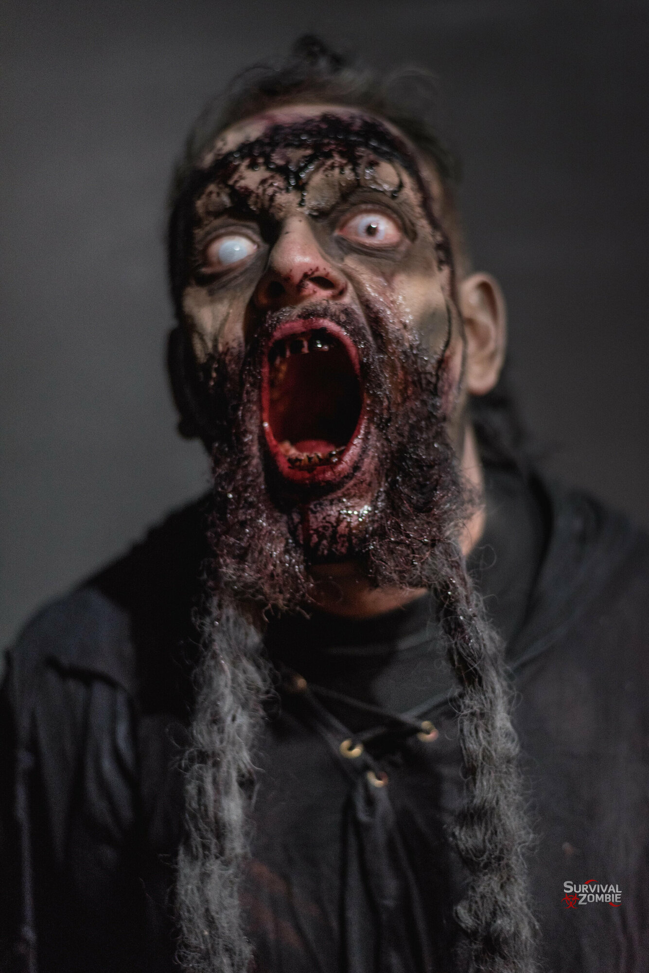 ZombieZone Cisneros, Palencia